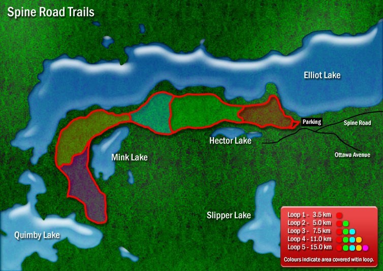 Map of ski trails