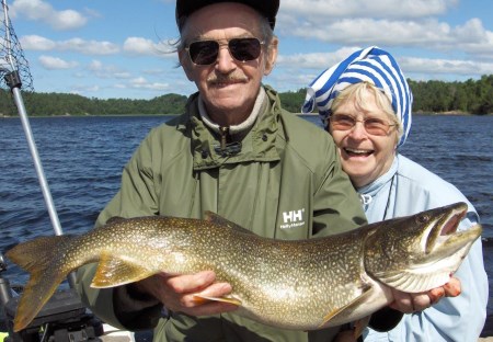 big lake trout